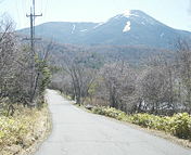 女神湖周辺別荘地4