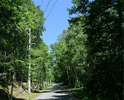 緑の村別荘地3