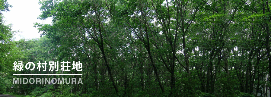 緑の村別荘地