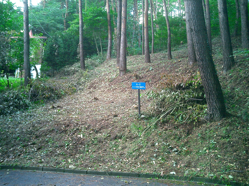 土地の写真1