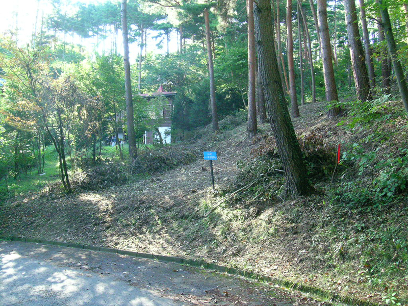 土地の写真5