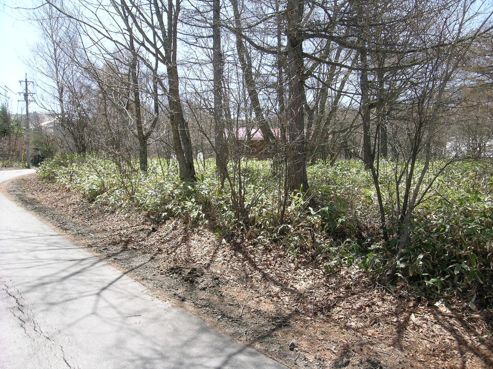 土地の写真3