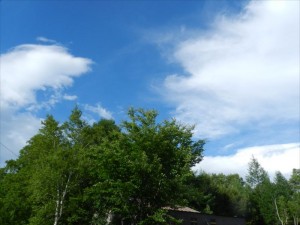 蓼科エリア別荘地梅雨の晴れ間１