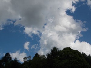 蓼科エリア別荘地の空１