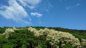 長和町のおすすめお散歩コース～別荘に来たらこちらもおすすめ♪２