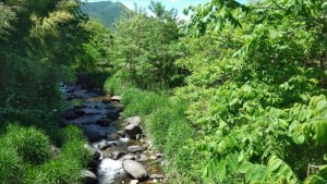 田舎暮らしの散歩景色～長野県小県郡長和町２