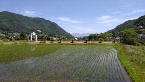 田舎暮らしの散歩景色～長野県小県郡長和町３