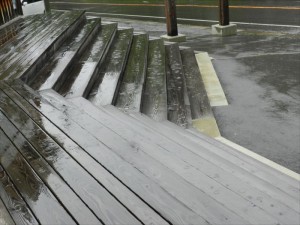 台風の蓼科エリア姫木平別荘地の雨２