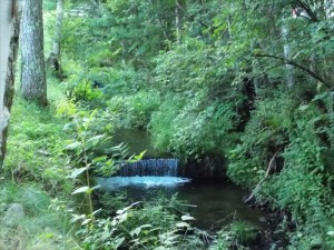 蓼科エリア夏の川