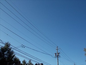 台風後の蓼科エリア別荘地