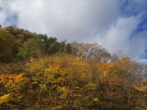 蓼科エリア長和町大門峠の紅葉