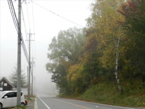 リゾートメンテナンスの紅葉状況④