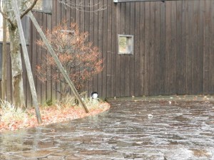 蓼科エリア別荘地秋の雨