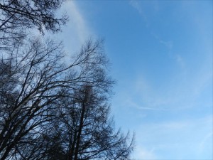 蓼科エリア冬はじめの空