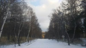 信州メルヘン街道。今日の道路状況。②