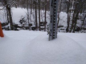 蓼科エリア雪１