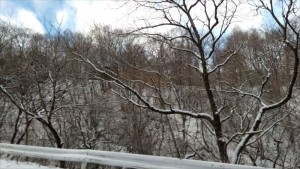 別荘地までの道のり～長和町大門峠②