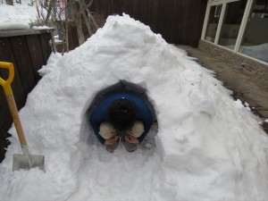 20180222長野県蓼科エリアかまくら3