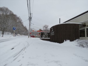 蓼科エリア今日は雪