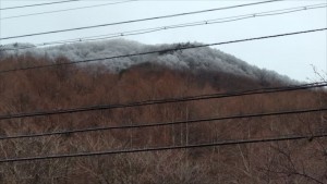 まだ樹氷は見れた！！蓼科エリア別荘地３月の景色①