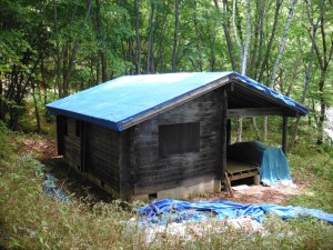 蓼科エリア 緑の村別荘地のログハウス　リノベーション大作戦