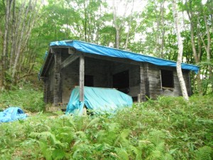 蓼科エリア 緑の村別荘地のログハウス　リノベーション大作戦