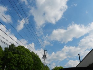 20180603蓼科エリア空