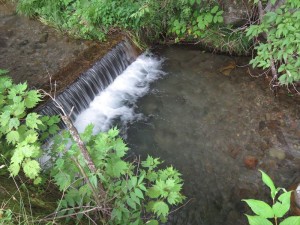 20180727長野県蓼科エリア川