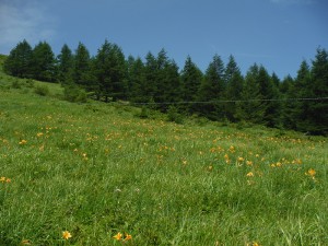 長野県蓼科エリア車山高原