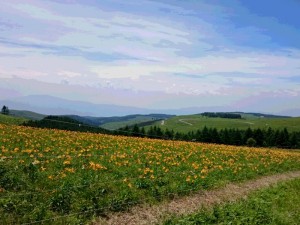 長野県蓼科エリア車山高原2