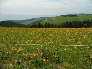 長野県蓼科エリア車山高原3