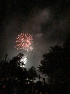 蓼科エリアの夏！女神湖花火大会！！