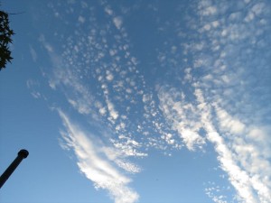 20180903蓼科エリア空