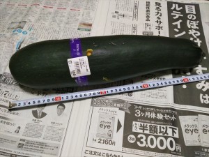 「蓼科エリアを飛び出して！原村で出会った・・・。」の巻