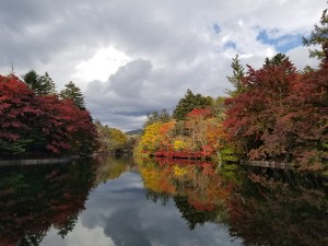 長野県軽井沢雲場池1