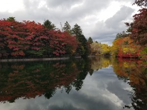 長野県軽井沢雲場池2