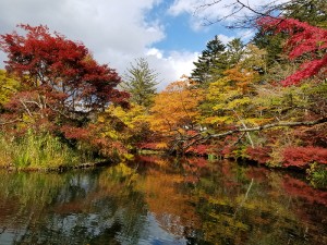 長野県軽井沢雲場池3