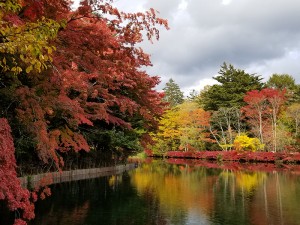 長野県軽井沢雲場池5