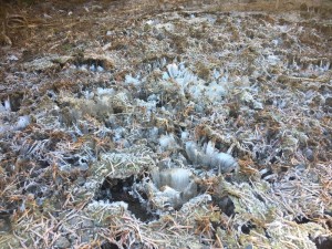 長野県蓼科エリア、今日の山の様子！