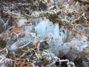 長野県蓼科エリア、今日の山の様子！