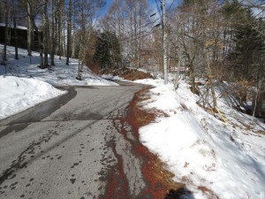 蓼科エリア今日のお天気・雪情報！！