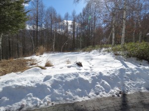 蓼科エリア今日のお天気・雪情報！！