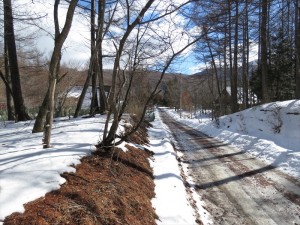 蓼科エリア今日のお天気・雪情報！！