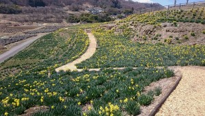 20190404すいせん祭り1