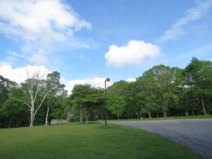 20190608青空