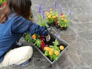 20190630リゾートメンテナンスブログ～お花を植える2～