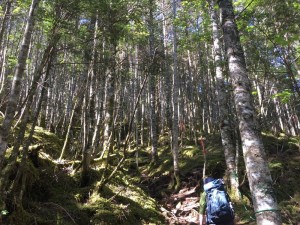 蓼科エリア 天狗岳登山1