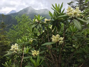 八ヶ岳編笠山7