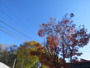 20191031蓼科エリア青空