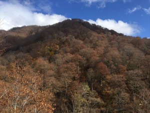 雨飾山6